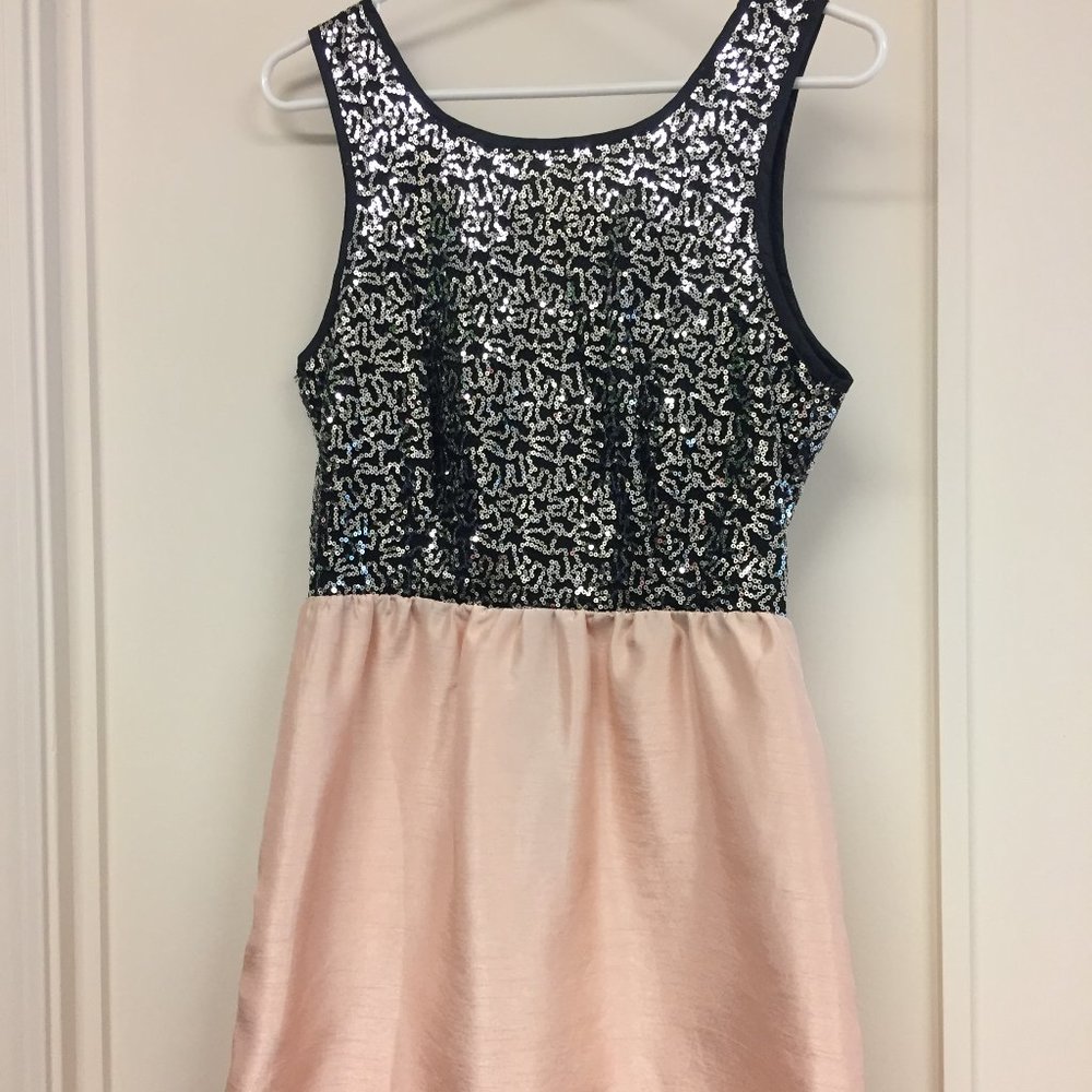 Mini Sparkly Rose Dress